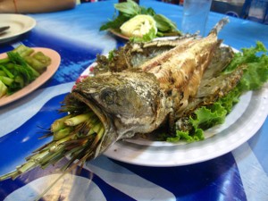 grilled snakehead fish