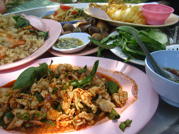 Food Photo: Thai Spicy Chicken Salad