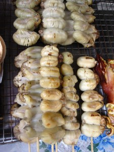 Squid egg skewers