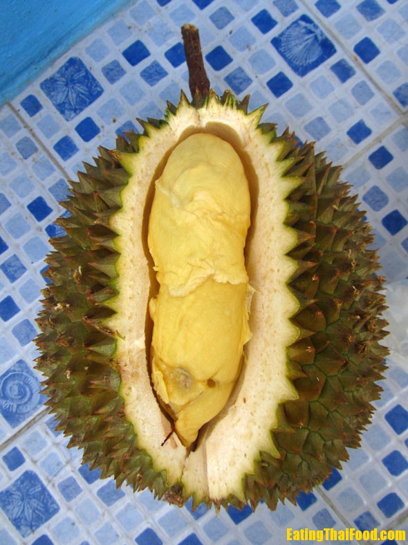 First Durian of the Season!