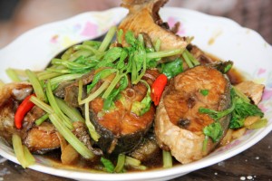 Bangkok Thai Food of 2011