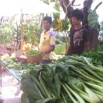Bo.lan Farmers' Market