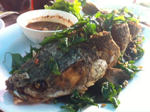 This fish came to save the day, covered in deep fried basil.