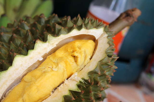 Food Photo: A Peek Into a “Chani” Durian