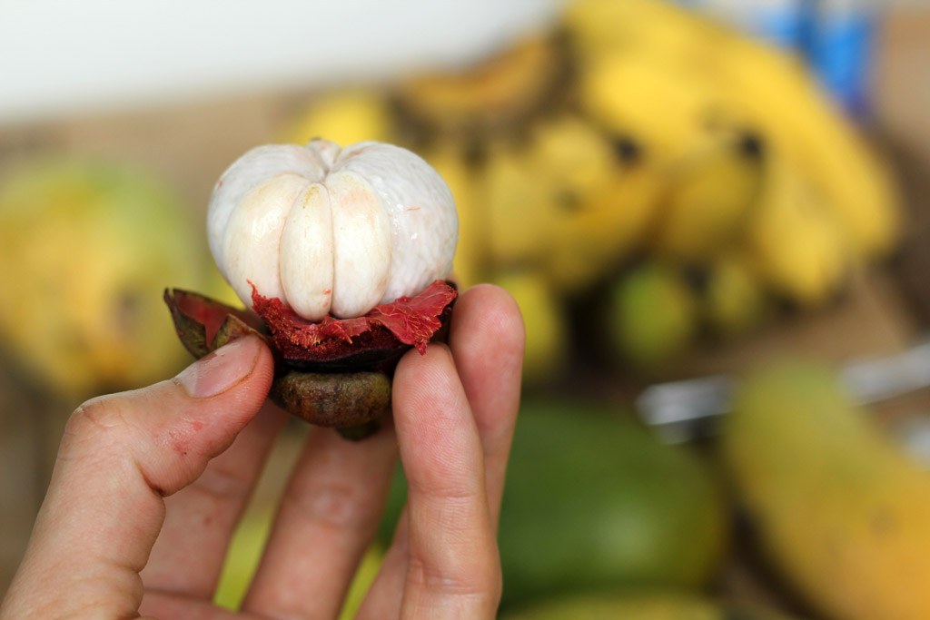 Thai Mangosteen