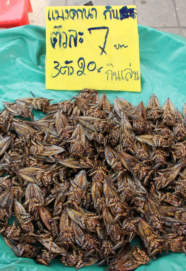 https://www.eatingthaifood.com/wp-content/uploads/2012/12/thai-water-beetle-maeng-da.jpg