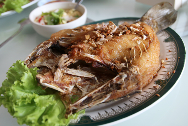 pla krapong tod nam pla (barramundi fish fried with sauce ปลากระพงทอดน้ำปลา)