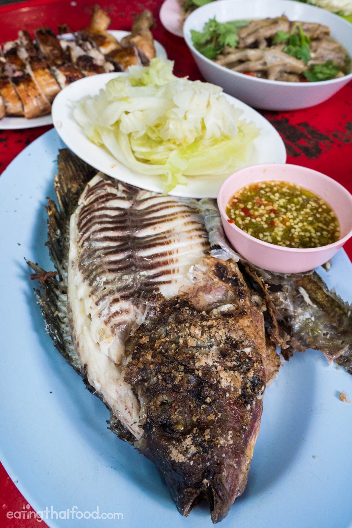 Grilled Fish in Bangkok at Laab Udon (ร้านลาบอุดร)