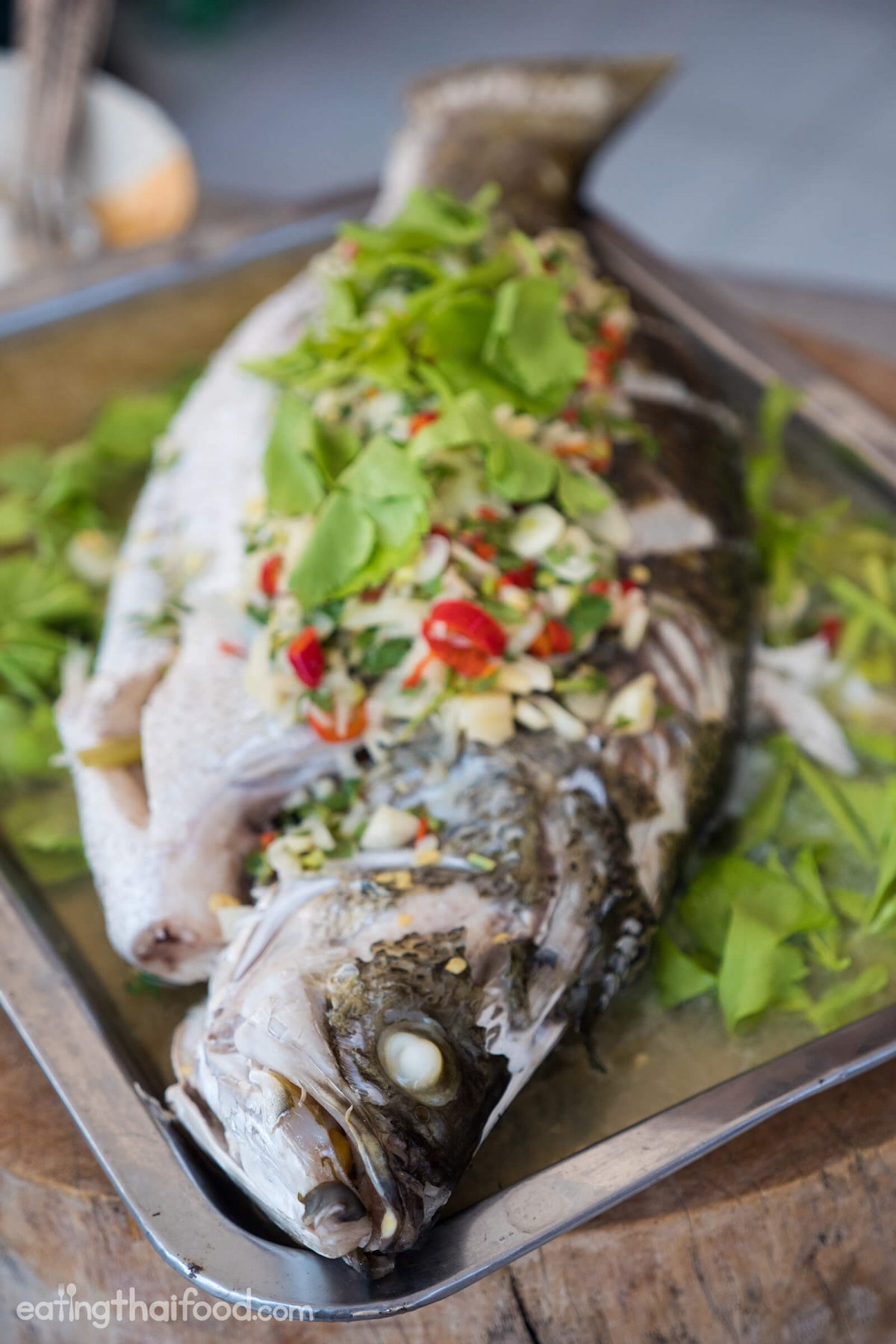 Steamed Fish With Lime and Garlic Recipe (ปลากะพงนึ่งมะนาว)
