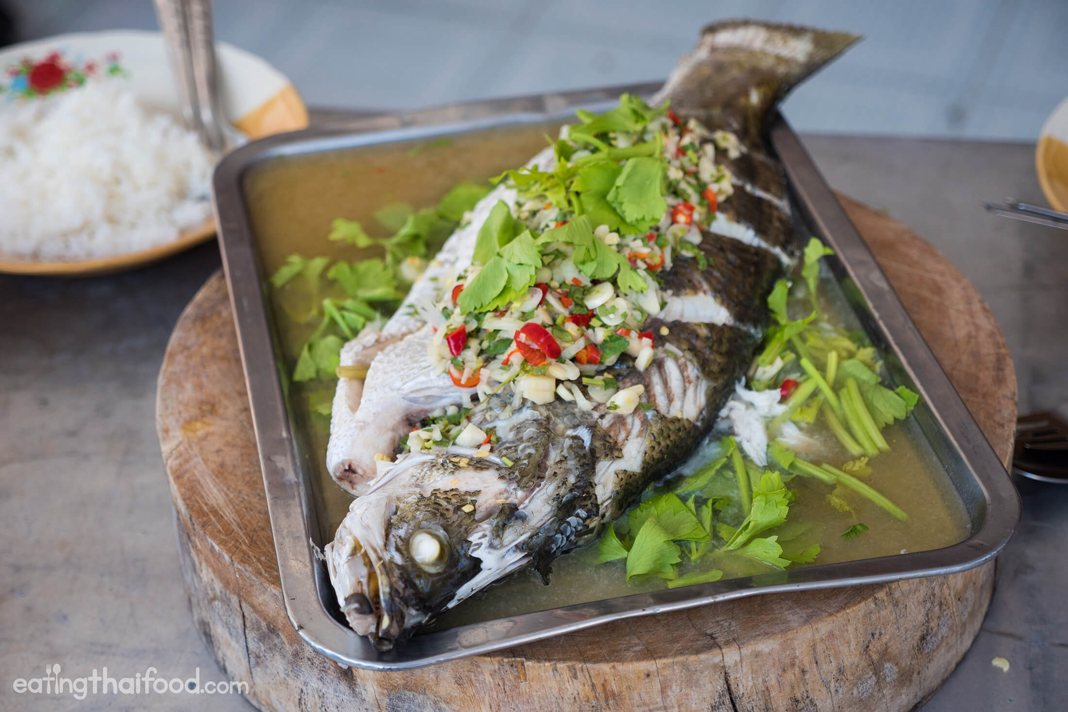 Steamed Fish With Lime and Garlic Recipe (ปลากะพงนึ่งมะนาว)