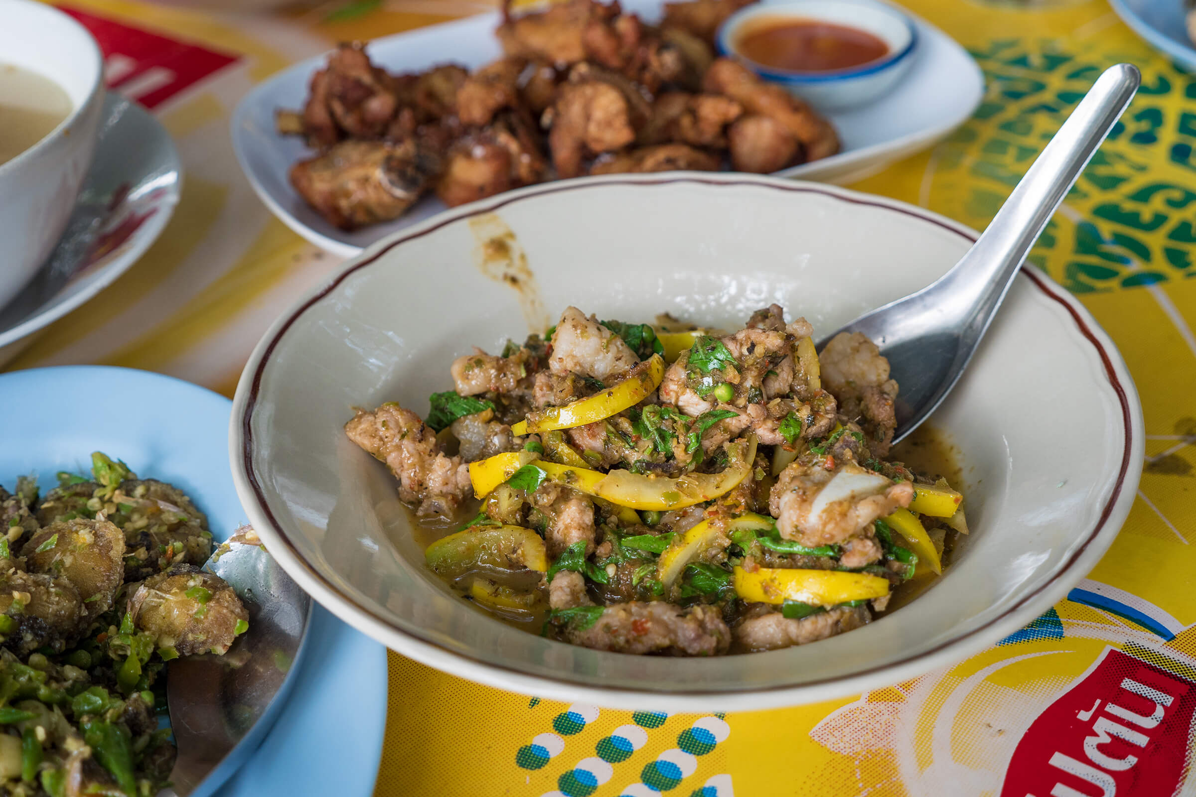 Jungle Thai Food – Pilgrimage Worthy Meal at Loong Riang & Pamalee (ร้านลุงเรียง & ป้ามาลี)