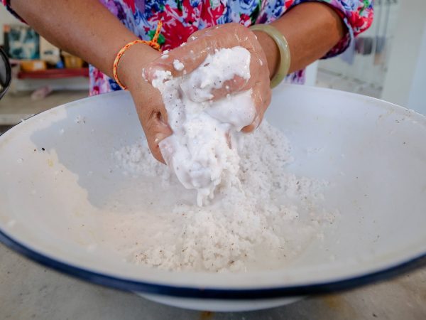 coconut milk recipe